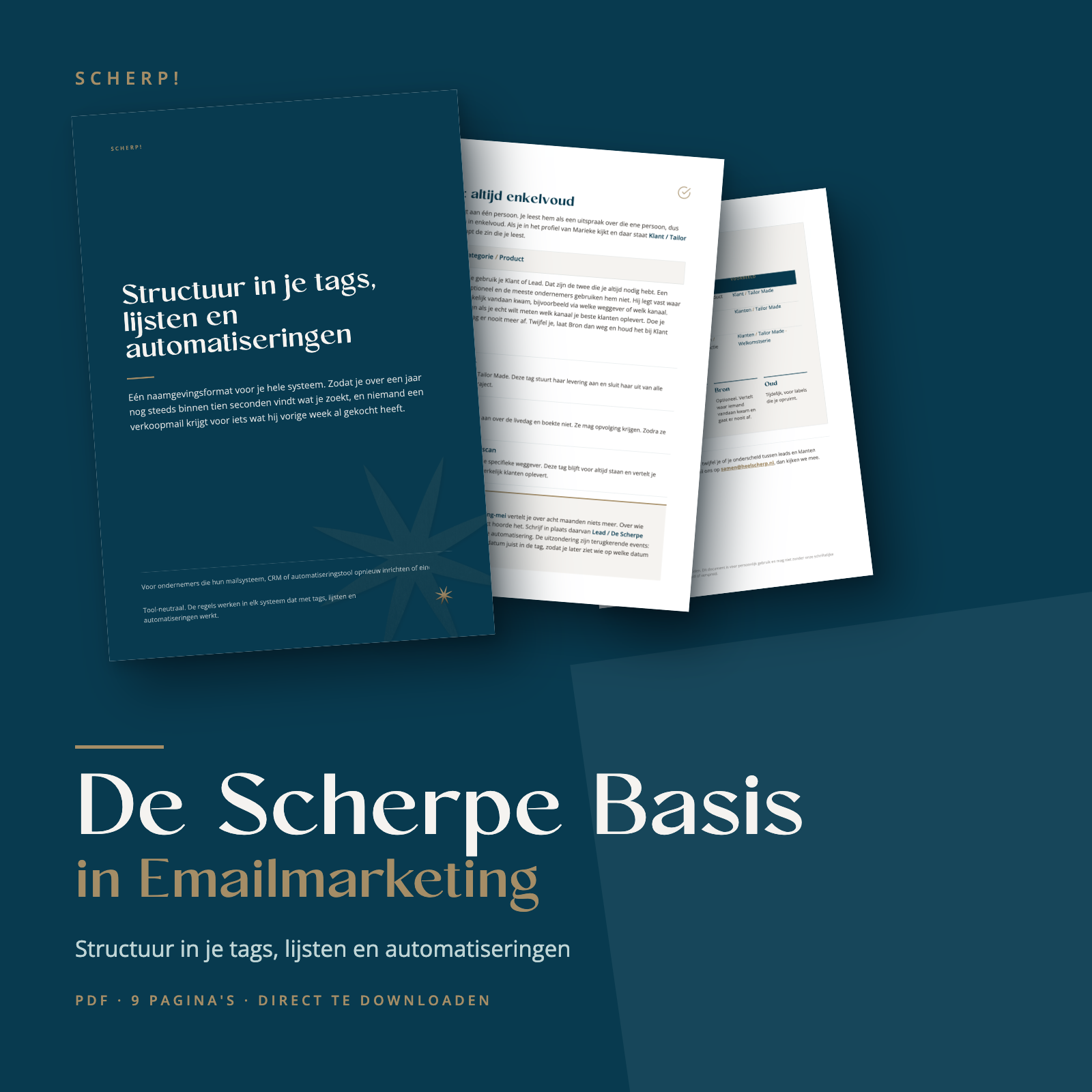 De Scherpe Basis in Emailmarketing